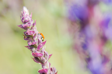 Similar image 21885603