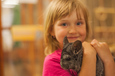 Similar image 21885604