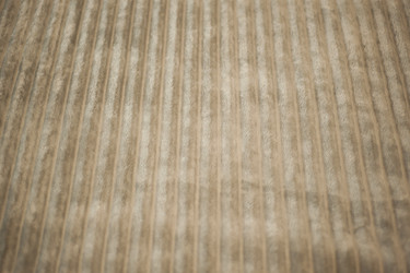 Similar image 21885605