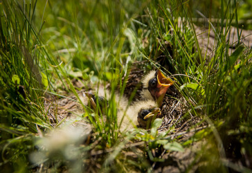 Similar image 21885606