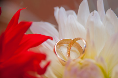 Similar image 21885613