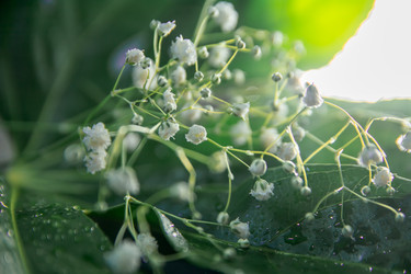 Similar image 21885614