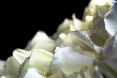 Similar image 21885616