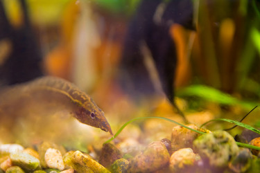 Similar image 21885621