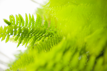 Similar image 21885623