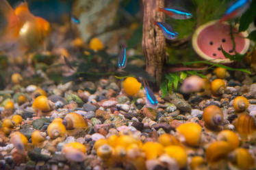 Similar image 21885624