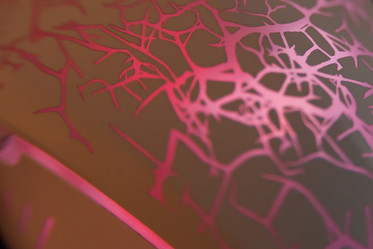 Similar image 21885625