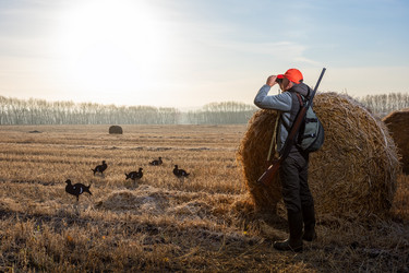 Similar image 21882440