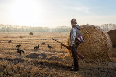 Similar image 21882441