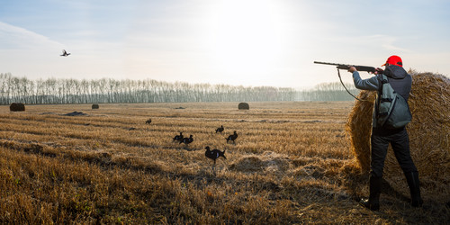 Similar image 21882442