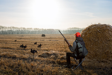 Similar image 21882443