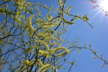 Similar image 21882251