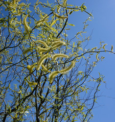 Similar image 21882252