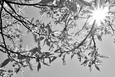 Similar image 21882254