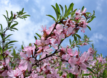 Similar image 21882258