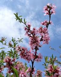 Similar image 21882259