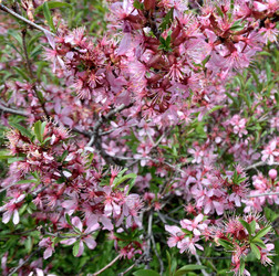 Similar image 21882260