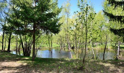 Similar image 21882266