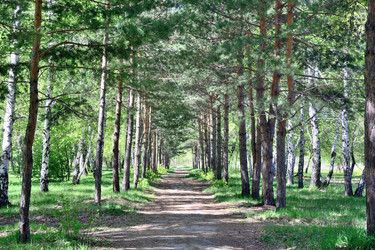 Similar image 21882267