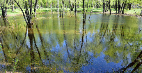 Similar image 21882268