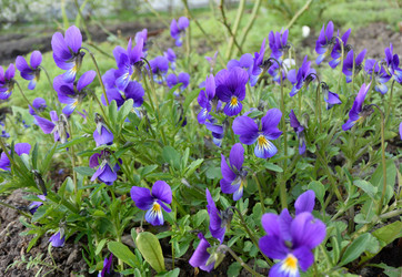 Similar image 21882272