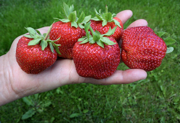 Similar image 21882277