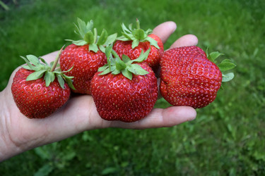 Similar image 21882279