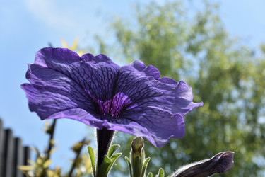 Similar image 21882282