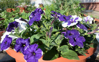 Similar image 21882284