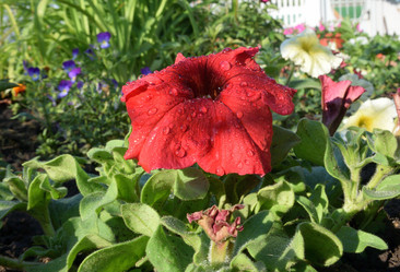 Similar image 21882285