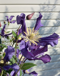 Similar image 21882286