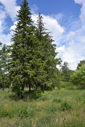 Similar image 21882289