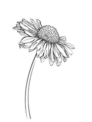 Similar image 21882169