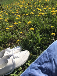 Similar image 21887577