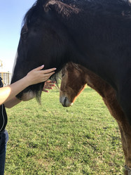 Similar image 21887579