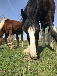 Similar image 21887582