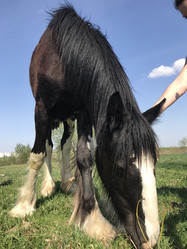 Similar image 21887589