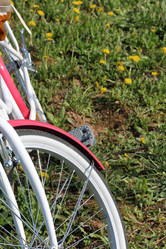 Similar image 21887590