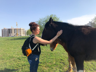 Similar image 21887595