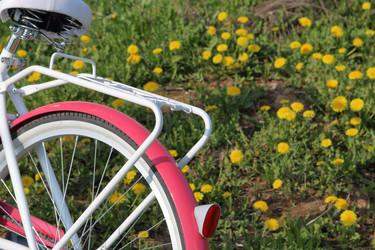 Similar image 21887596