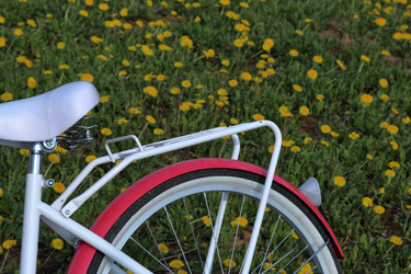 Similar image 21887619