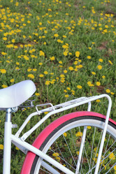 Similar image 21887623