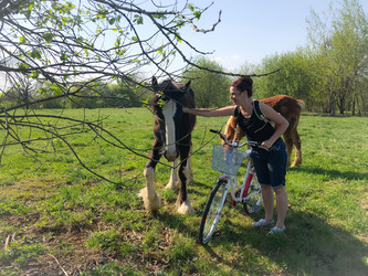 Similar image 21887641