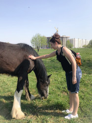 Similar image 21887642