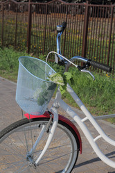 Similar image 21887644