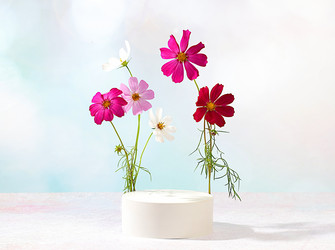 Similar image 21885399