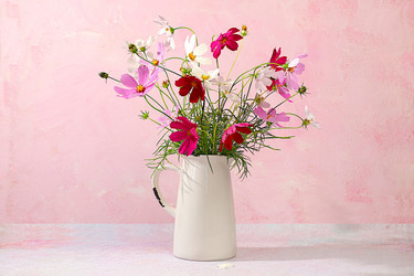 Similar image 21885400