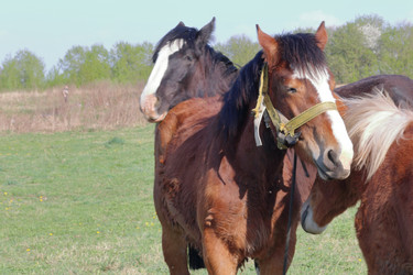 Similar image 21887109