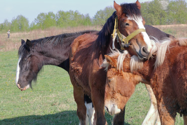 Similar image 21887111