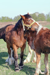 Similar image 21887112